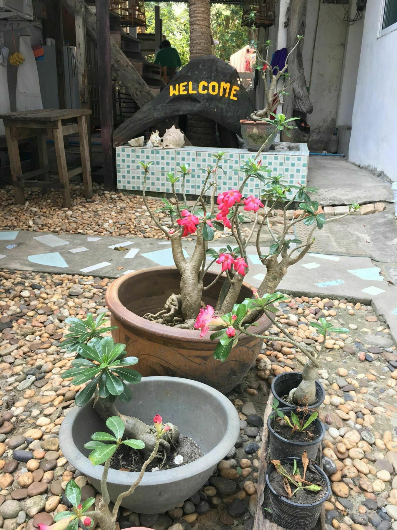 Hotel Miss Hong House Koh Samet Exterior foto